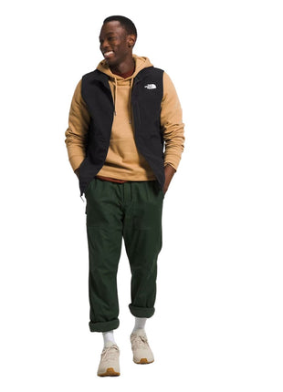 Apex Bionic 3 Vest - TNF Black