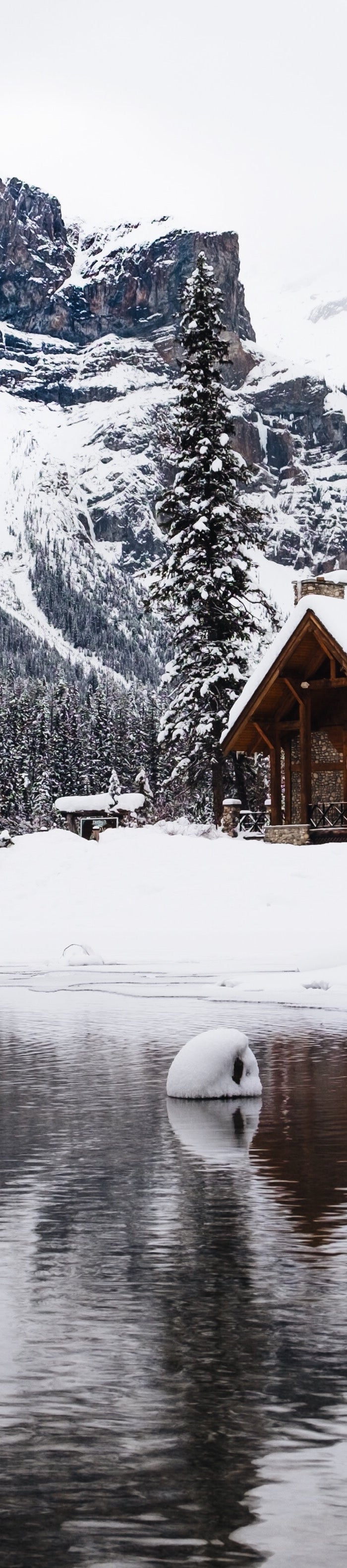 <h1><strong>HOLIDAY BEST SELLERS  </strong></h1>