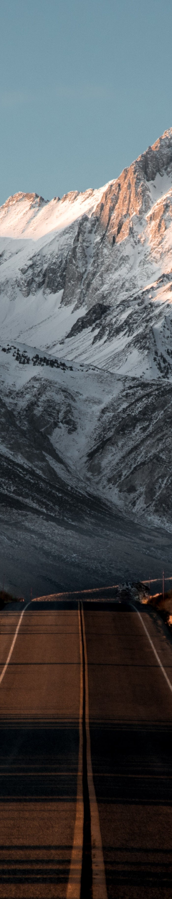 <h1><strong>NEW ARRIVALS</strong></h1>