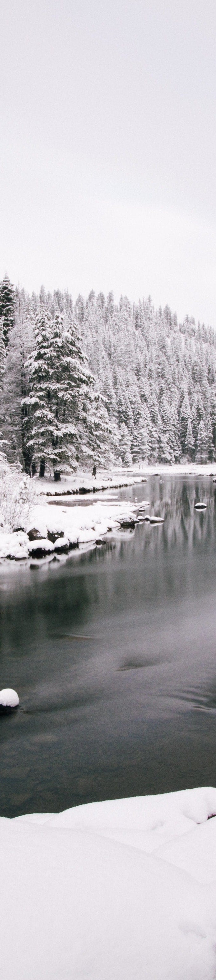 <h1><strong>THE FLEECE SHOP - 40% OFF</strong></h1>