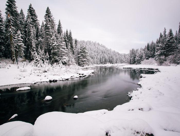 <h1><strong>THE FLEECE SHOP - 40% OFF</strong></h1>